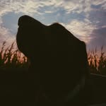 Mocha Lou Boswell - @mochalou22 - Instagram