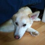 Lou boucher - @boucher.lou - Instagram
