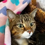 Lou de Courcy-Bower - @loudecourcybower - Instagram