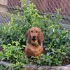 Lou Horton Bowers - @lou.horton.bowers - TikTok