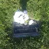 louisboyce116 - @louisboyce116 - TikTok