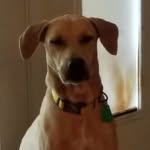 Lou Boyd - @lou.boyd.73 - Instagram