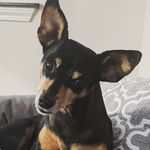 Lauren Renee - @ava_lou_boyer - Instagram