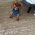 Lou Boyer - Facebook