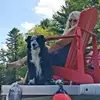 Lou Bradshaw - @lou.bradshaw - TikTok