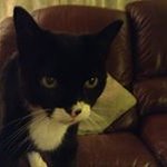 Lou Brady - @lou_brady - Instagram