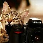 lou braun - @louloulove245 - Instagram