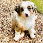 Emme Lou Bray - @everybody_loves_emme - Instagram