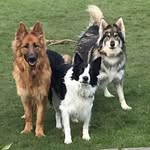 Louise Briggs - @lou.briggs68 - Instagram