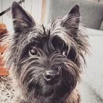 Lou - @lou_bright_spirit - Instagram