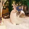 Clarissa - @loubunnyy - TikTok