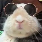 Loubunny2020 - @loubunny2020 - Instagram