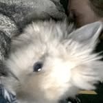Lucifer Rhea - @lou_bunny8 - Instagram