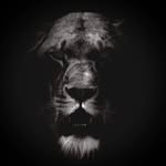 Lou Cabrera - @lou2050 - Instagram
