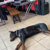 Lou Caine - @lou.caine5 - TikTok