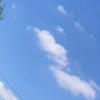 Lou Cann - @lou.cann - TikTok