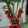 Marialou Canton - @marialou.canton - TikTok