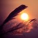 Lou Carr - Facebook