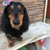 Lou Carr - Facebook