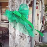 Peggy Lou Chamberlain - @plchamber - Instagram