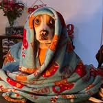 Lenny Lou Chance - @lennythetrashpuppy - Instagram