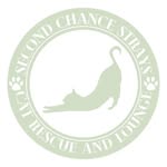 Second Chance Strays Cat Rescue & Lounge - @secondchancestrayscatlounge - Instagram
