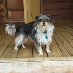 Lou Ann Lancaster Collier - @lou_a_collier - Instagram
