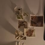 dooꓶ - @lou_combs - Instagram