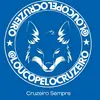 cruzeiro sempre - @loucopelocruzeiro - TikTok
