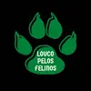 Louco pelos Felinos - @loucopelosfelinos - TikTok