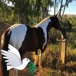 Cindy Lou Copeland - @cindycopeland2101 - Instagram