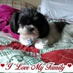 Mary Lou Copeland - @marylou.copeland.3 - Instagram
