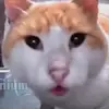 corbin - @corbin.louis0 - TikTok
