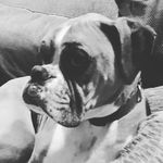 corbin loutz - @corbinloutz - Instagram