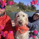 Cyndi Lou Daly - @louloudaly - Instagram