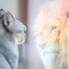 Louis - @louisdempsey1 - TikTok
