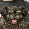 Louis Gates - @louis.gates01 - TikTok