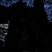 Lou Grant - Facebook