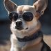 Lou Grant - Facebook
