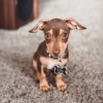 Lou Grant Martinez - @_adventuresoflouie - Instagram