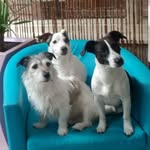Lou Green - @lou.green.98 - Instagram