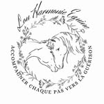 @lou_harmonieequine - Instagram