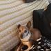 Louie Hatfield - Facebook