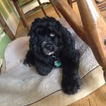 Emma Lou Hoo Ames Henley - @emma_lou_hoo - Instagram