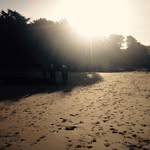 Louise Henley - @louisehenley - Instagram