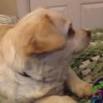 Lou Hicks - @lou.hicks.752 - Instagram