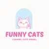 louhicks19696 - @funnycats0071 - TikTok