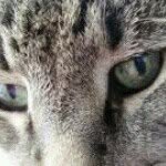 Lou Ann Higgins - @swenhig - Instagram