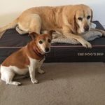 Louise Hodgson - @lou.hodge1 - Instagram