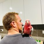 Shaz Lou - @shaz.lou.hodges - Instagram
